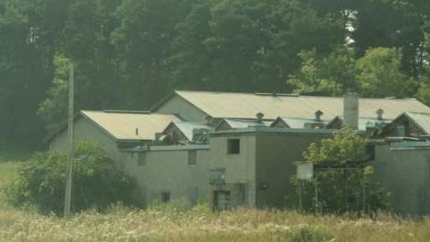 Darlington Mushrooms - Darlington-Mushroom-Farm18.jpg