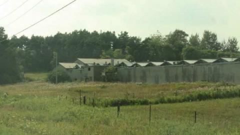 Darlington Mushrooms - Darlington-Mushroom-Farm19.jpg