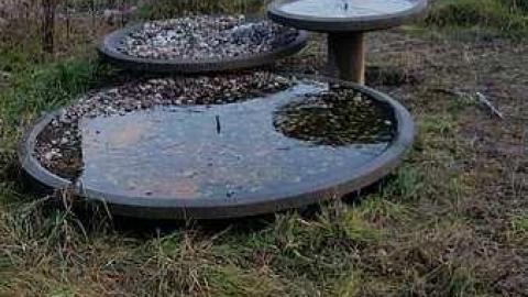 Sir John Carling revisit - Sir-John-Carling-Cafeteria5.jpg