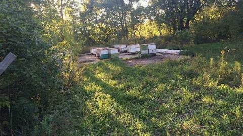 Photo from Port Robinson House