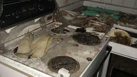 Fall 2016 - IMG_2448.jpg