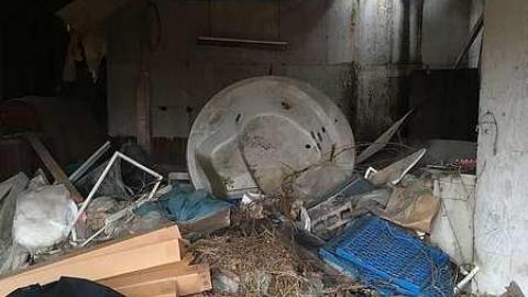 Fall 2016 - IMG_2477.jpg