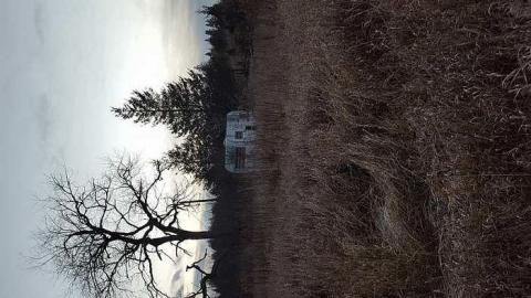 Photo from November 2016