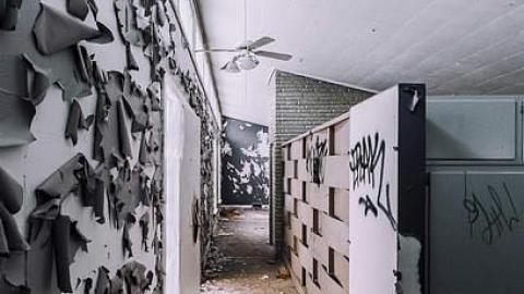 Paint Problem - _MG_7784.jpg