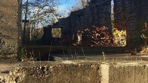 Mill - Nov 2016 - Darnley-Mill-Crooks-Hollow191.jpg