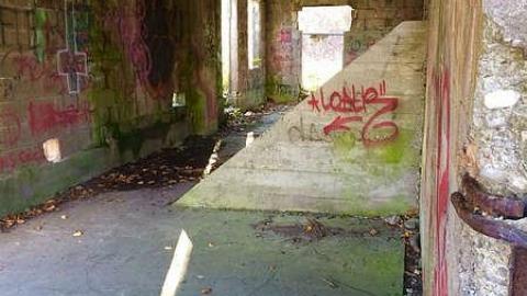 Mill - Nov 2016 - Darnley-Mill-Crooks-Hollow225.jpg