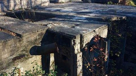 Mill - Nov 2016 - Darnley-Mill-Crooks-Hollow226.jpg