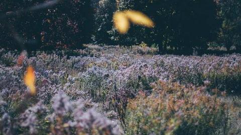 2016 - Camp-30-Bowmanville1193.jpg