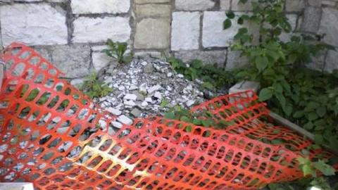 Photo from August 2011