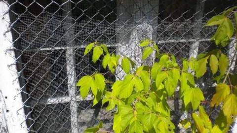 August 2011 - Coboconk-School21.jpg