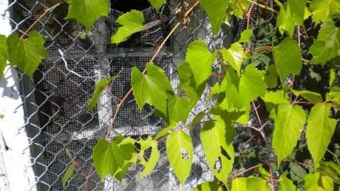 Photo from August 2011