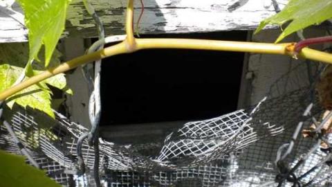 August 2011 - Coboconk-School23.jpg