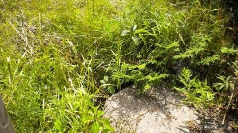 Photo from August 2011