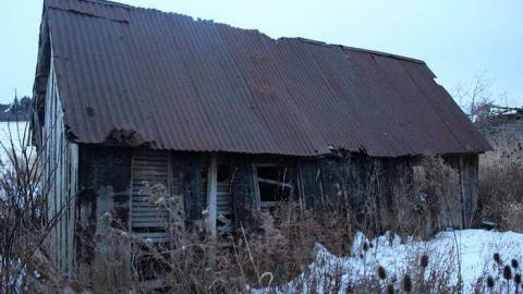 December 2016 - IMG_04201.jpg