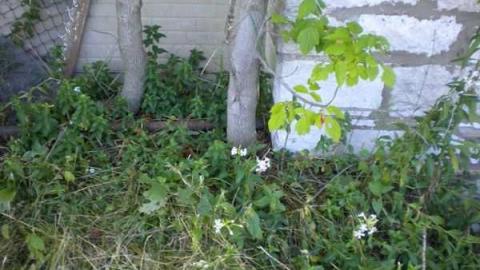 Photo from August 2011