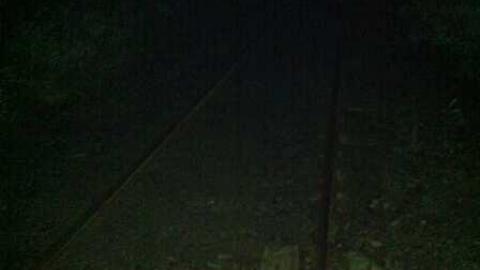 drive home - Brougham12.jpg