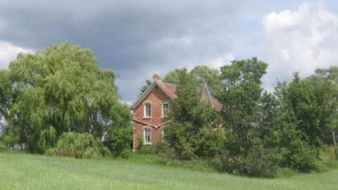 O'Reilly's Road House - OReillys-Road-House11.jpg