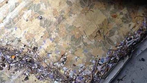  70-80's Abandoned House  - 7080s-Abandoned-House7.jpg