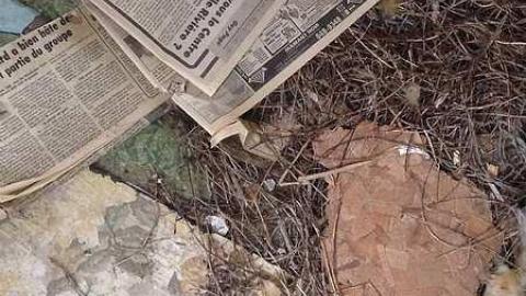  70-80's Abandoned House  - 7080s-Abandoned-House10.jpg