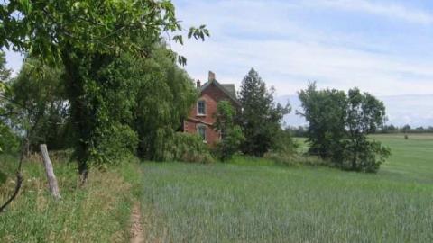 O'Reilly's Road House - OReillys-Road-House13.jpg