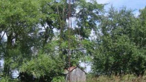 O'Reilly's Road House - OReillys-Road-House17.jpg