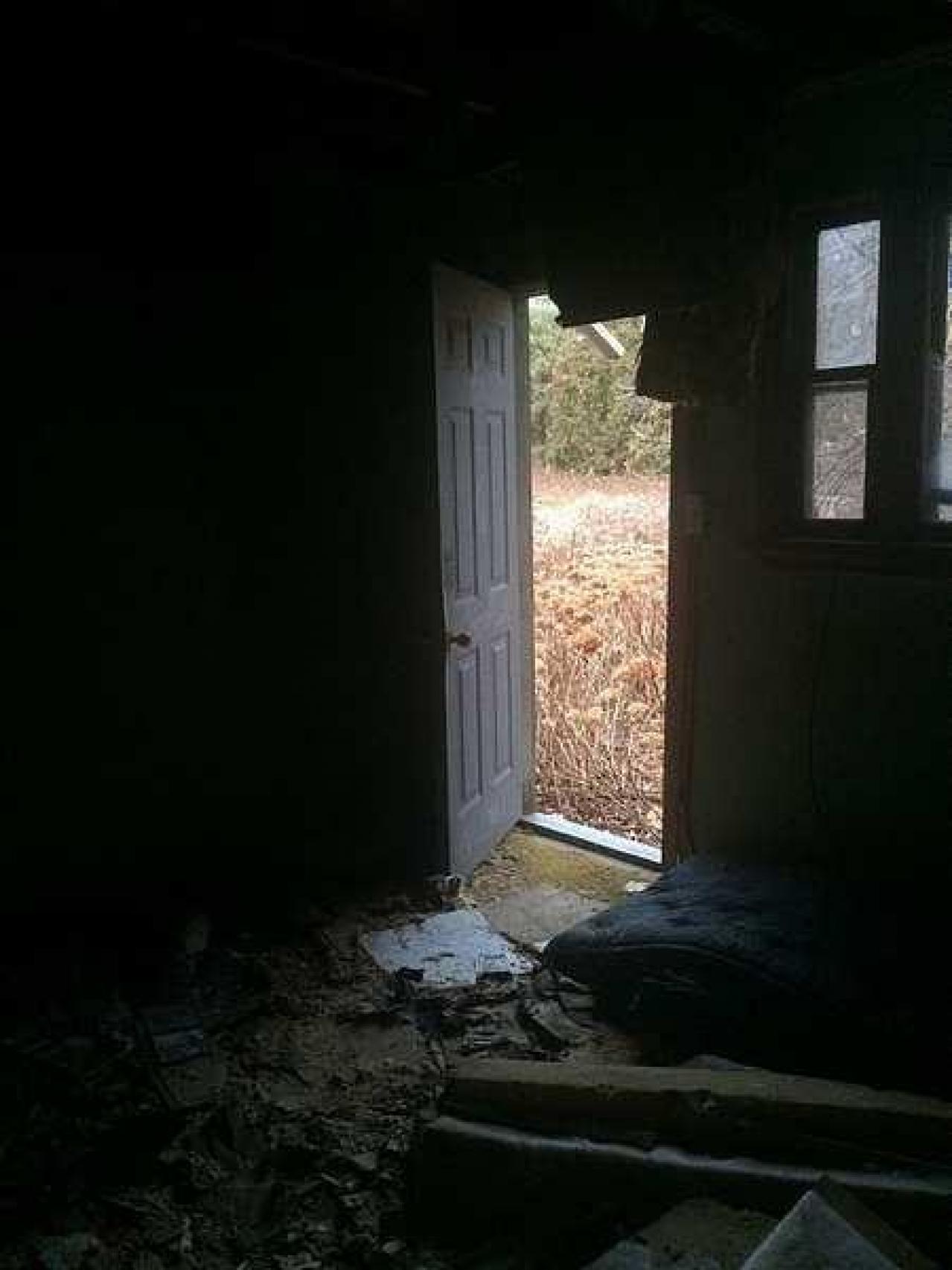 Overgrown Blue House - IMG_4944.jpg