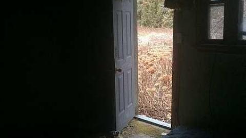 Overgrown Blue House - IMG_4944.jpg