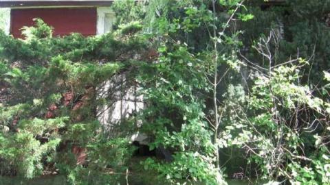 O'Reilly's Road House - OReillys-Road-House3.jpg