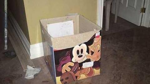 December 2016 - Abandoned-Grow-Op-Mansion--Drug-Dealers-Mansion--King-City245.jpg