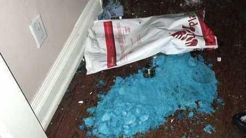 December 2016 - Abandoned-Grow-Op-Mansion--Drug-Dealers-Mansion--King-City254.jpg