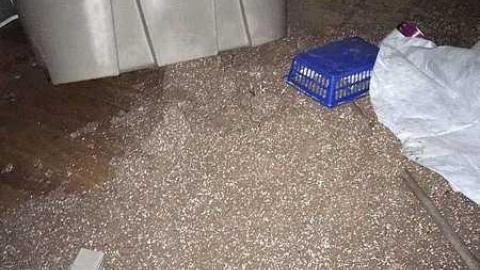 December 2016 - Abandoned-Grow-Op-Mansion--Drug-Dealers-Mansion--King-City260.jpg