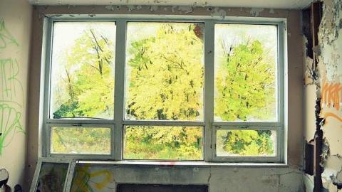 The Small School photo 5