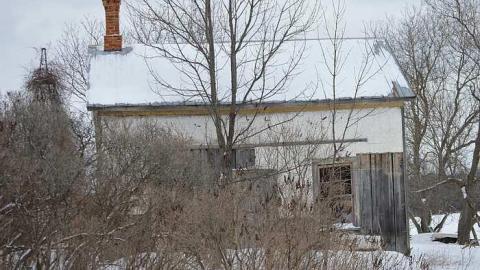 Left for Nature - o-DSC_0441.jpg