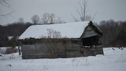 Left for Nature - s-DSC_0442.jpg