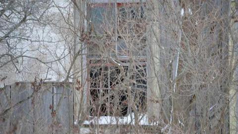 Left for Nature - y-DSC_0443.jpg