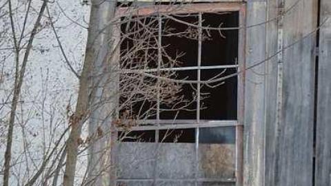 Left for Nature - n-DSC_0444.jpg