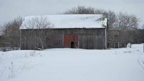 Left for Nature - k-DSC_0446.jpg