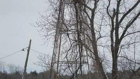 Left for Nature - p-DSC_0447.jpg