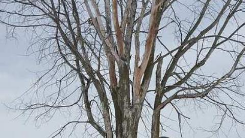 Left for Nature - f-DSC_0451.jpg