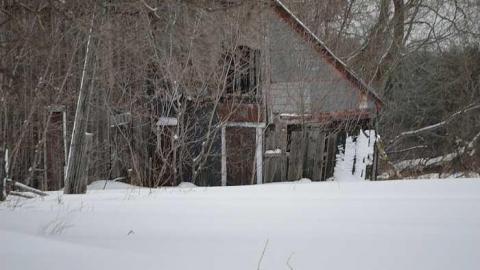 Left for Nature - g-DSC_0456.jpg