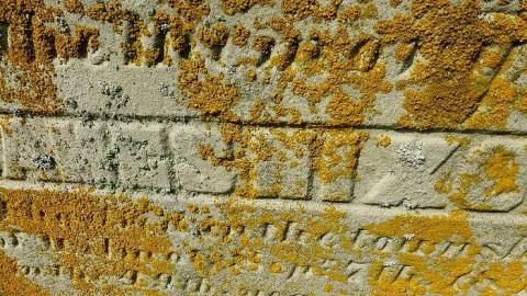 On the Tilt - Pinehill-Pioneer-Cemetery40.jpg