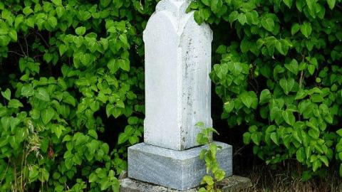 On the Tilt - Pinehill-Pioneer-Cemetery6.jpg