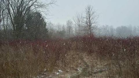 Old Munitions Test Fire WWI/II - Long-Branch-Arsenal-Lands103.jpg