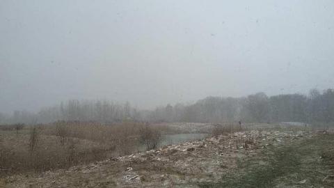 Old Munitions Test Fire WWI/II - Long-Branch-Arsenal-Lands70.jpg