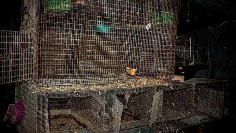 Highway Home + Barn - m-PIC_7285-1-4.jpg