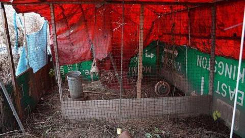 Highway Home + Barn - h-PIC_7423.jpg