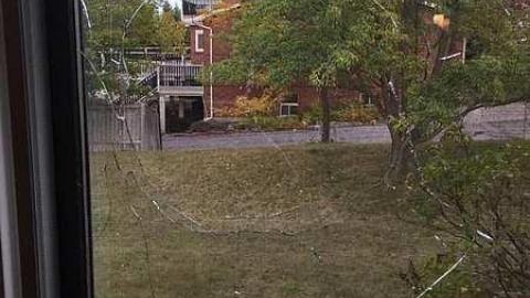 October 2016  - Ecko-Location55.jpg