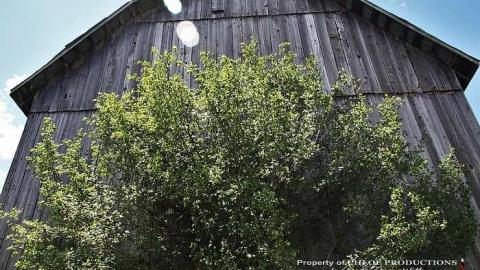 Implement Shed - Implement-Shed12.jpg