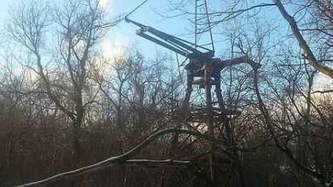 Photo from Winter Time 2016