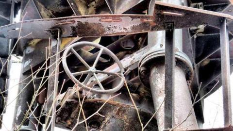 Photo from Winter Time 2016